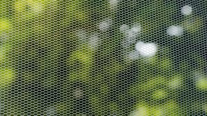 Fliegengitter schützt vor Insekten - effektiver Insektenschutz für Fenster in Braunschweig