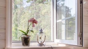 Insektenschutz Fenster mit Spannrahmen - maßgefertigte Lösung bei TÄGER Raumausstattung Braunschweig